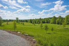 Lots and Lands for Sale