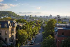 Projets immobiliers à Plateau Mont Royal
