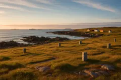 Terrains à vendre à Miquelon