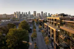 Griffintown Real Estate Projects