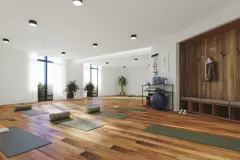 Project