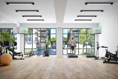 Project