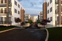 Projet