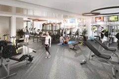 Project