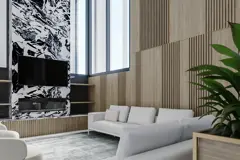 Project