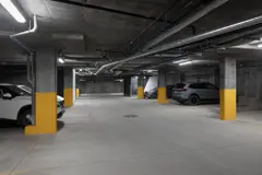 Project