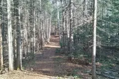 Terrain #71
