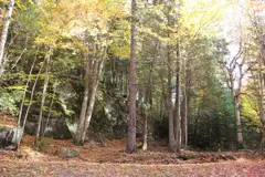 Terrain #76