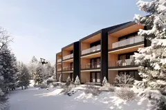 Condos en montagne