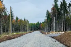 Terrains