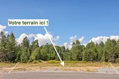Terrain