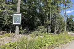 Terrain