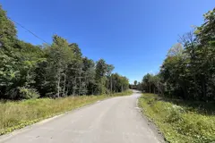 Terrain