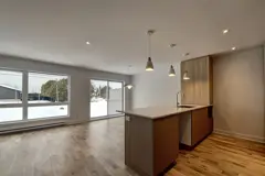 Maison en rangée (64)