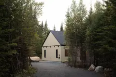 Skog