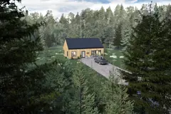 Skog